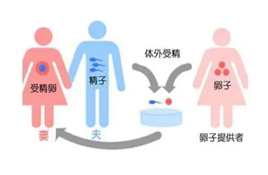 男性患病女性携带致病基因可以选择生男孩避免疾病遗传