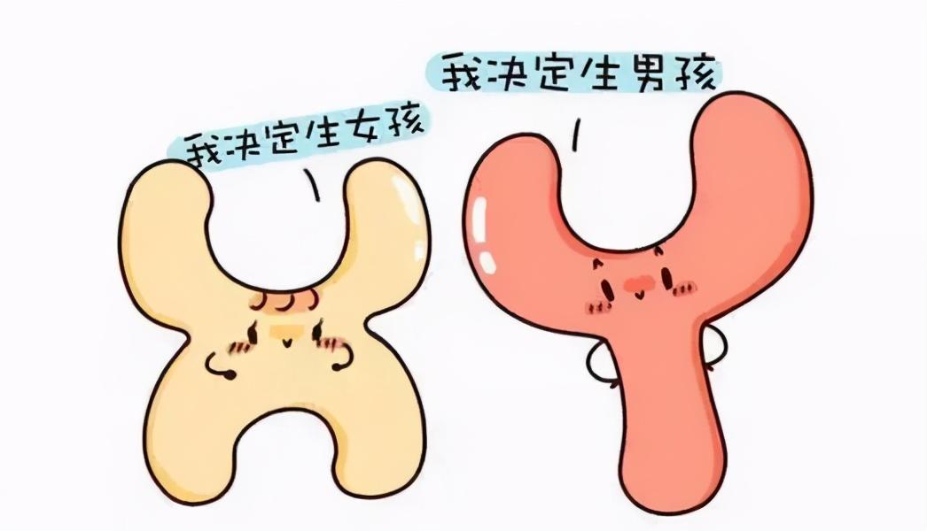 孕期间身体出现这些信号都是100%生男孩的表现