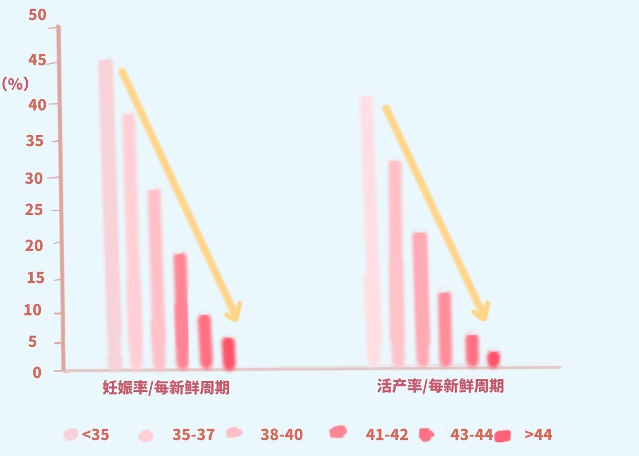 40岁以上高龄做试管婴儿的成功率受这些因素影响