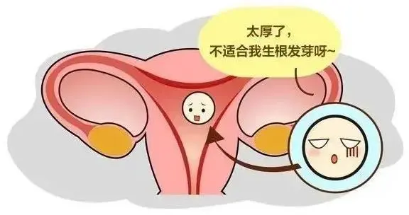 如何把子宫内膜调理厚？这六种方法让你短期恢复正常