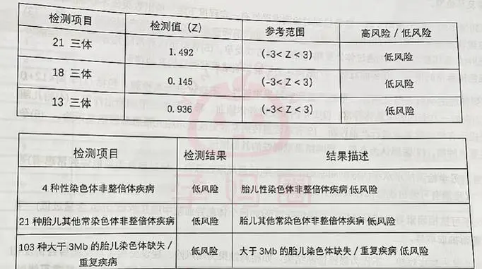 NT报告单哪三个亮点可以判断出是男孩女孩