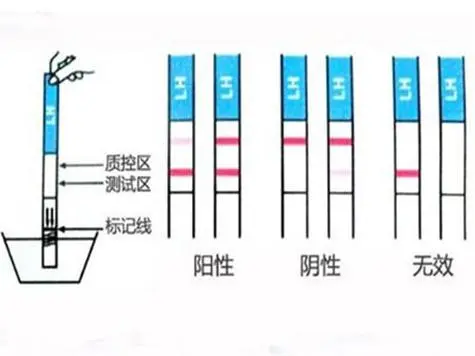 验孕棒一深一浅分不清怀没怀，花一分钟带你了解结果