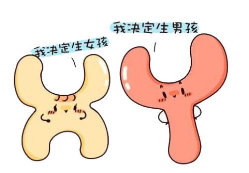 孕晚期生男生女可以从这几个症状表现来进行判断