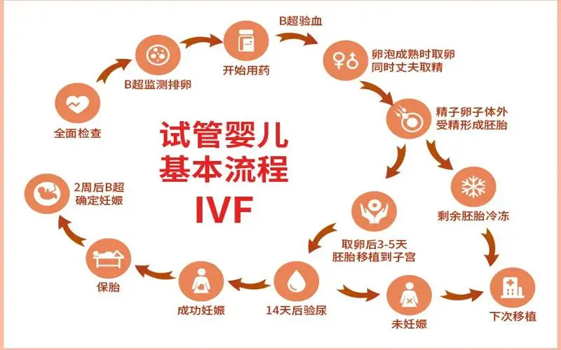 深圳第三方机构做一次辅助生殖单周期是这个价