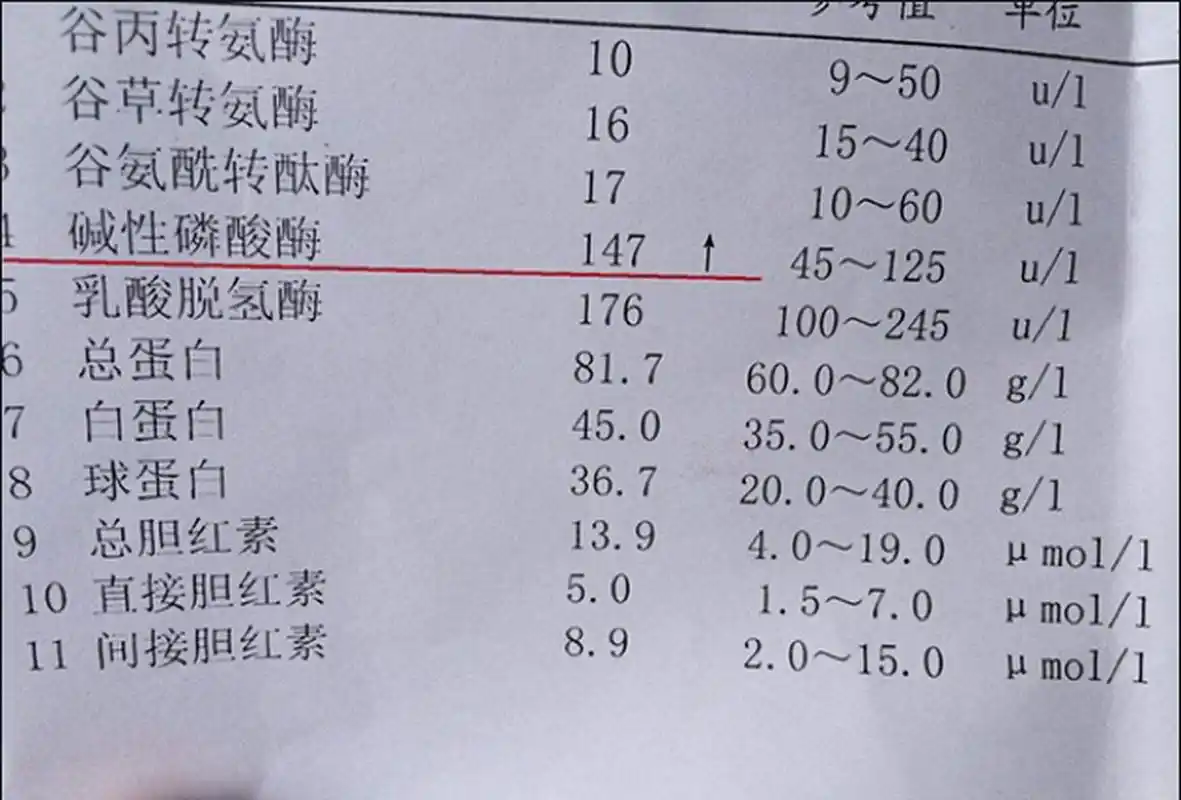 甲胎蛋白偏高说明什么问题？看完吓人一跳