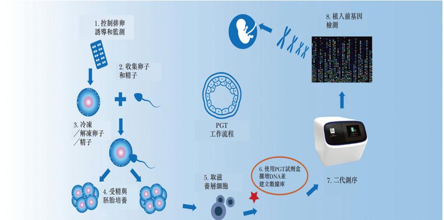 染色体正不正常，先要搞懂什么是染色体