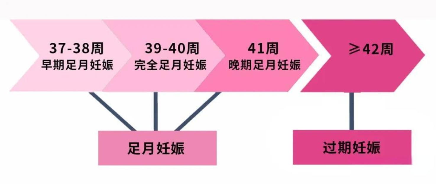 测出孕周和孕产期方法很简单，这五种技巧赶紧学习起来