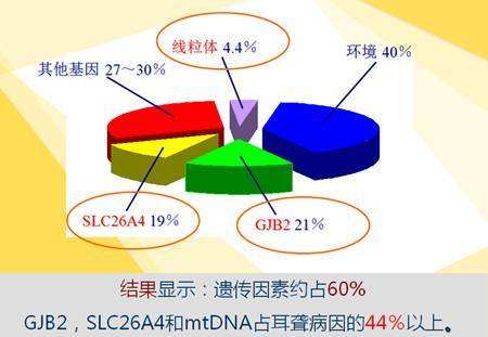 先天性耳聋的病因