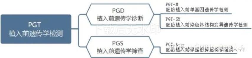 PGT-A进行非明确来源染色体病的检测