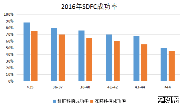 试管婴儿成功率