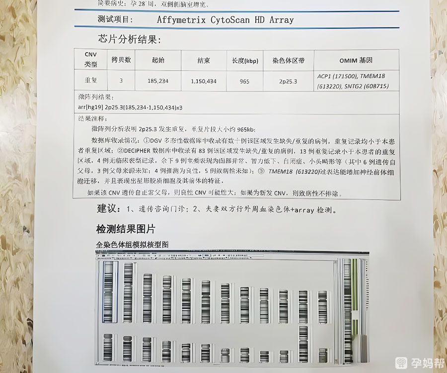 昆明试管医院可以进行染色体检查